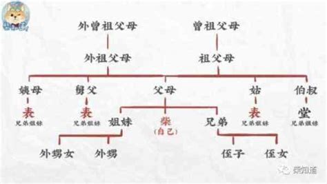 表 堂 怎麼分|科普︱親戚稱謂中的表和堂該怎麼區分？